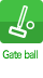 Gate ball